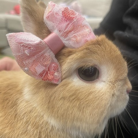 即納【桜】ビーズとお花の♡透かしもみみリボン🎀【春】【和】