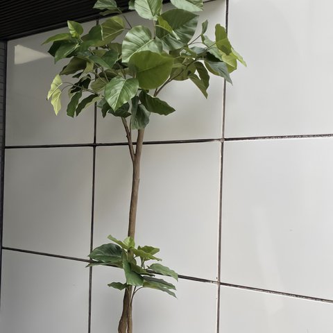 光触媒　人工観葉植物　ウォールグリーン　フェイク　フラワー　組立て式ウンベラータ