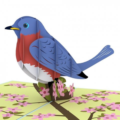 ポップアップグリーティングカード　Bluebird