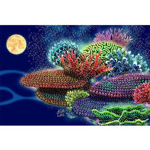 「サンゴの海３題」ポストカード　３点セット　サンゴの産卵　熱帯魚　ソフトコーラル