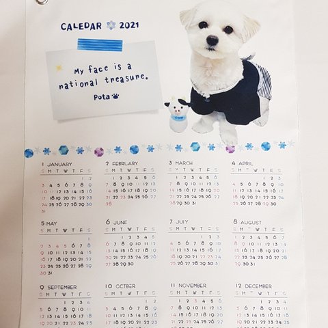 「記念日、メッセージ入り」♡うちの子写真入りフェルトカレンダー
