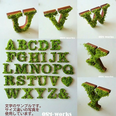 木製オブジェ(モス)Ｌサイズ(18.5cm)×１点 アルファベット「Ｕ・Ｖ・Ｗ・Ｘ・Ｙ」