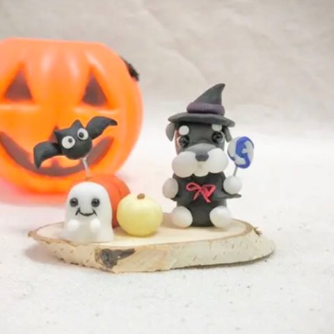 シュナウザー☆ハロウィン