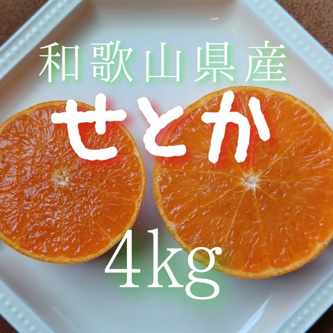 〔送料無料〕せとか 4kg　和歌山