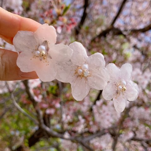 【rie.t】本物の桜　バレッタ