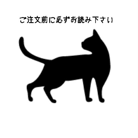 ご購入前に必ずお読み下さい！