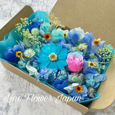 カシワバアジサイFlowerBox⑦