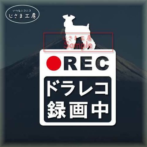 ミニチュアシュナウザー(ちょい向き垂れ耳）の白色シルエットステッカー危険運転防止ドラレコ録画中。