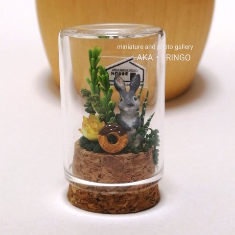 ミニチュア「私のちいさな森（うさぎと多肉植物とドーナツ）」非売品