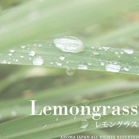 レモングラス精油3ml~　アロマオイル/エッセンシャルオイル/ケモタイプ精油/Lemongrass