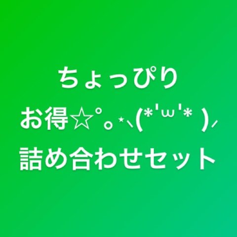 限定！お得な5点セット＊詰め合わせ＊