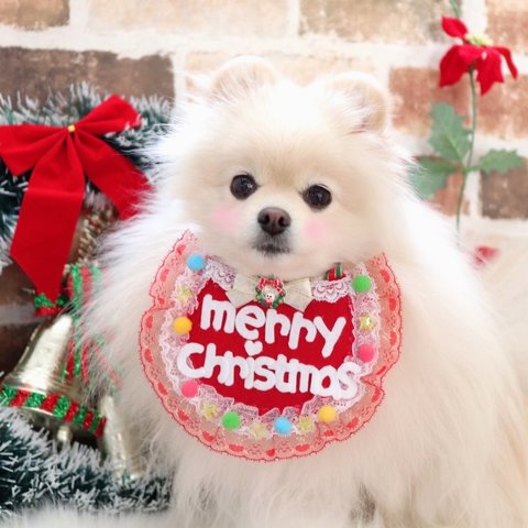 クリスマス🎄リバーシブルあぶちゃん💖merry christmas💖