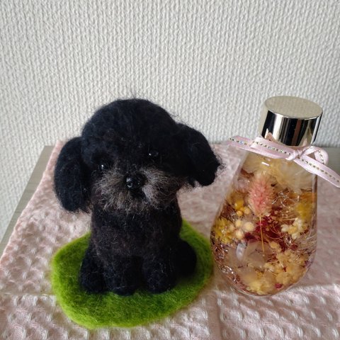 羊毛フェルト☆トイプードル☆トイプー☆ぬいぐるみ