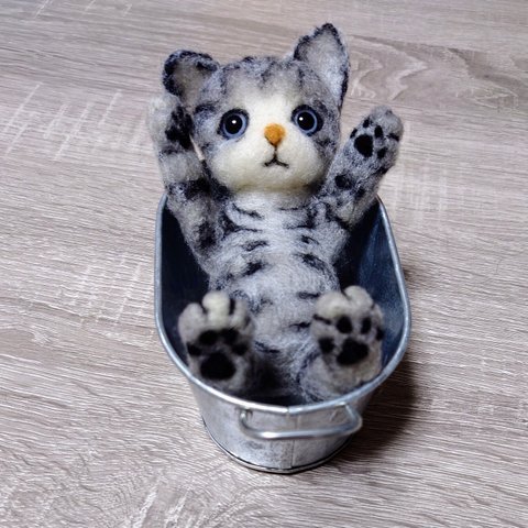 羊毛フェルト猫　ごろにゃんサバトラくん!