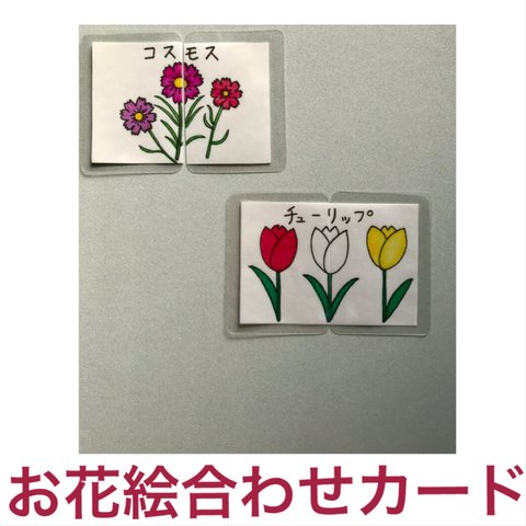 お花絵合わせカード 12セット