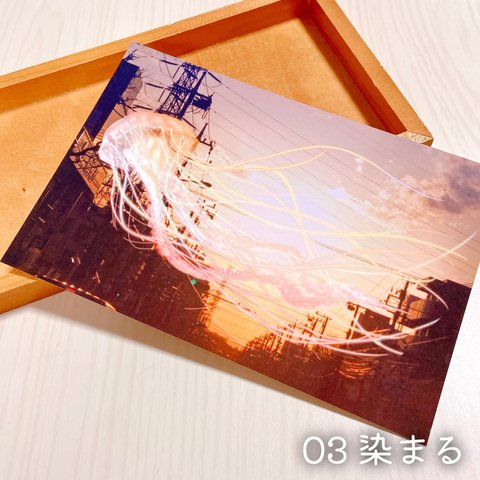 クラゲのポストカード【きのくら屋】03『染まる』