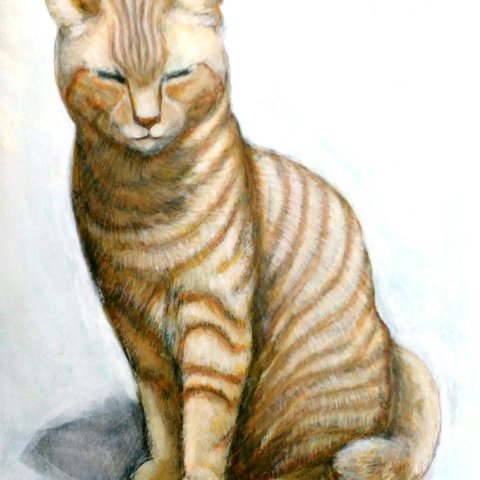 Tabby Cat, by my side トラ猫、笑顔　真作　アクリル、色鉛筆絵画