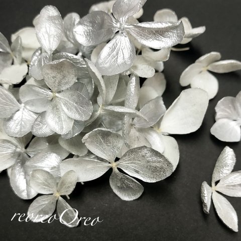 ホワイト×シルバー  紫陽花    30枚 ブリザーブドフラワー