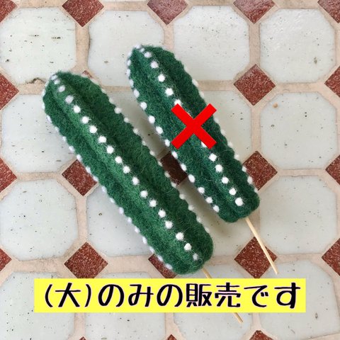 フェルト　(大)ふたご座のサボテン　鉢なし