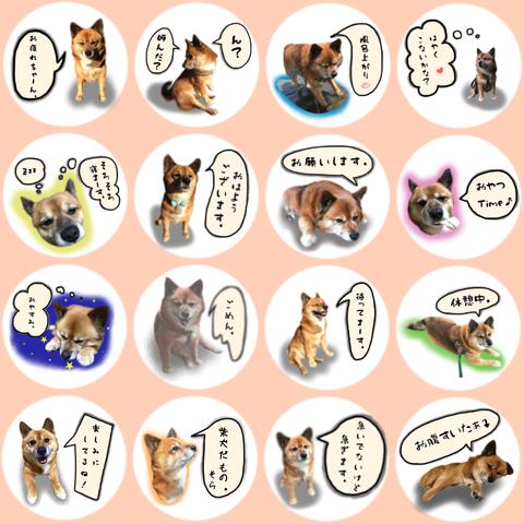 LINEスタンプ【16個】