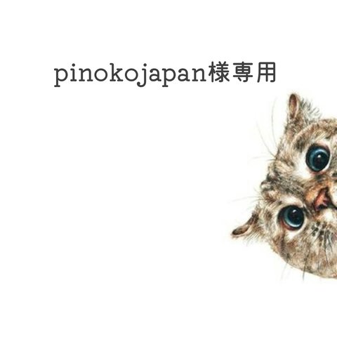 pinokojapan様専用出品