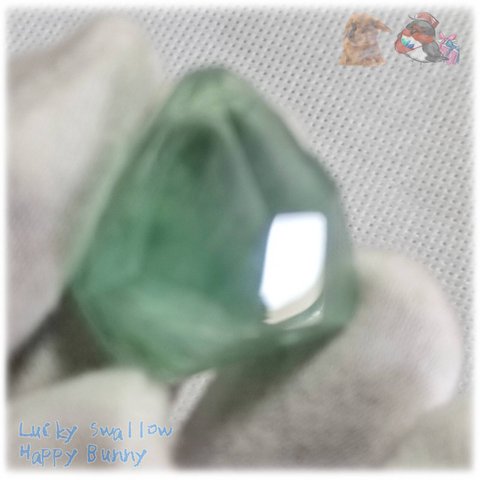 ◆ 磨かれた グリーンフローライト 結晶 蛍石 原石 M52