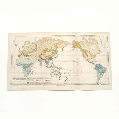 1910年代当時の植物のグループの重要な分布図の地図資料 アンティークマップ 古地図 ヴィンテージペーパー 図版 マイヤー百科事典 1957-60