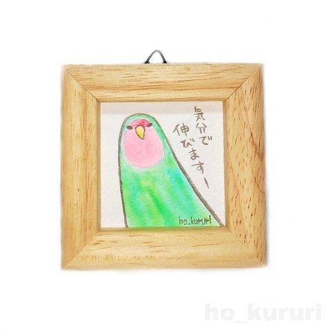 コザクラインコ ミニ額 原画イラスト 3745