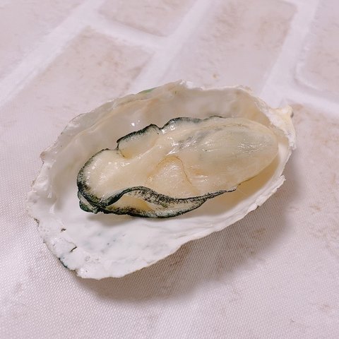 【食品サンプル】殻付き牡蠣　オブジェ