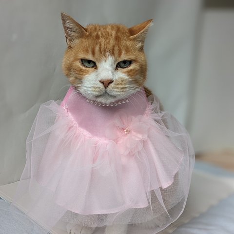 桜色ドレス