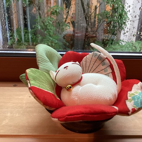 お花の中で居眠り中の猫ちゃん