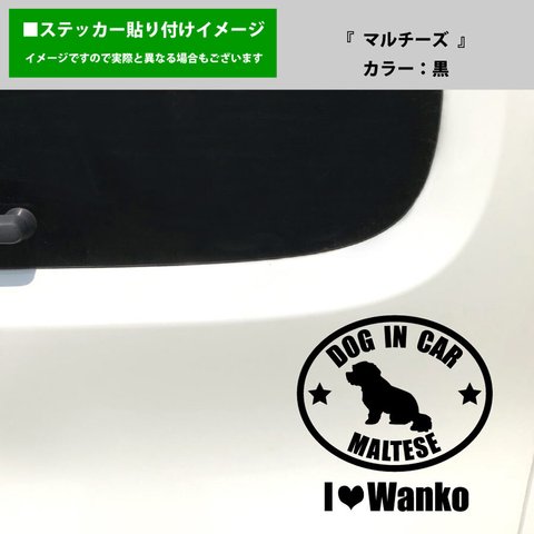 かわいい マルチーズ 犬 ドッグインカー dog in car 車 ステッカー シール