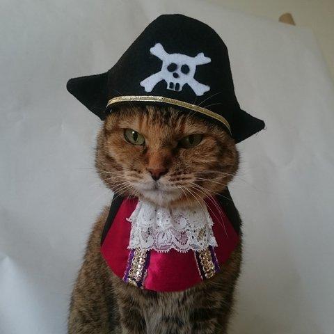 海賊コスプレ