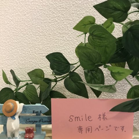 smile様専用ページです。恐れ入りますが、他の方は　　　　　　ご注文をお控えくださいますようお願い致します。