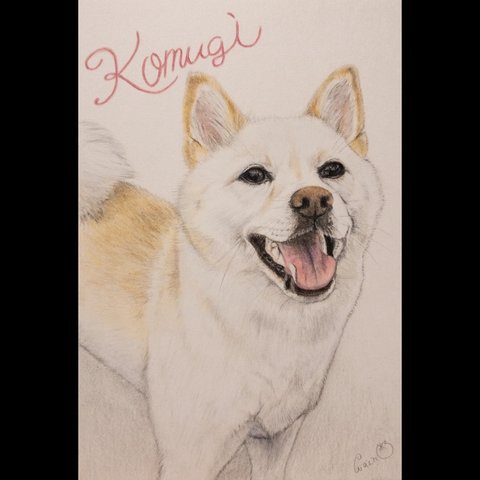 【過去作品紹介】色鉛筆画 犬の似顔絵 肖像画 ハガキサイズ