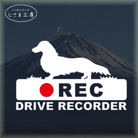 ダックスフンドの白色シルエットステッカー‼後方注意‼『DRIVE　RECORDER』