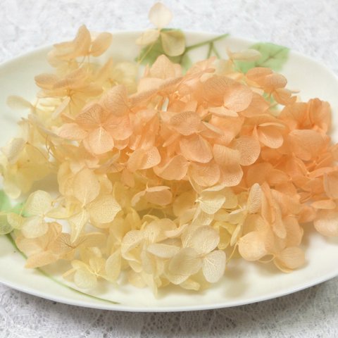 アナベル紫陽花　あじさい　アジサイ　プリザーブド　レモンオレンジ