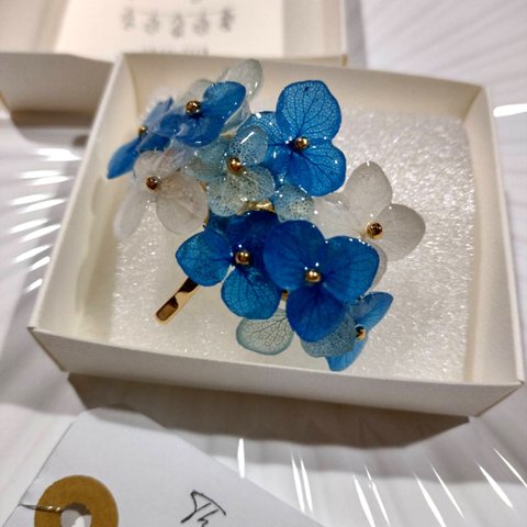 本物の紫陽花アナベル　ツヤツヤポニーフック　ブルー