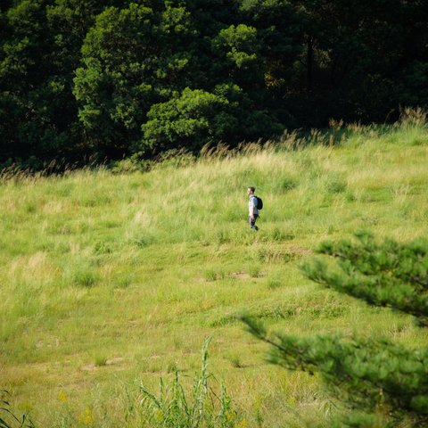 写真のある豊かな暮らし【風の旅人】