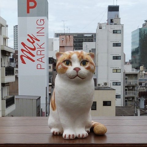 和紙で彩る　スコティッシュフォールドの猫の人形