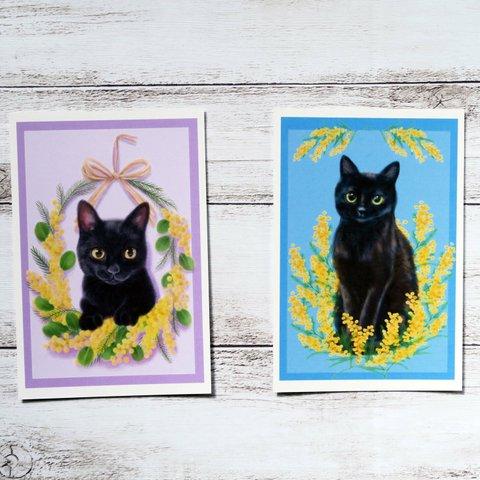 ポストカード2枚組　ミモザと黒猫