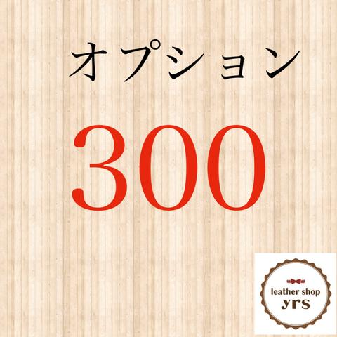 オプション300