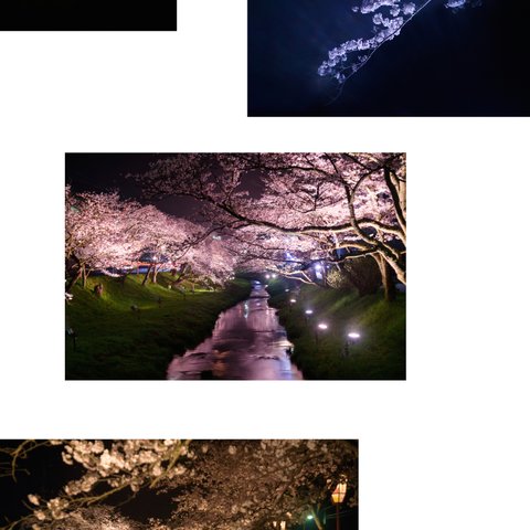 写真のある豊かな暮らし【夜桜】コラージュ写真