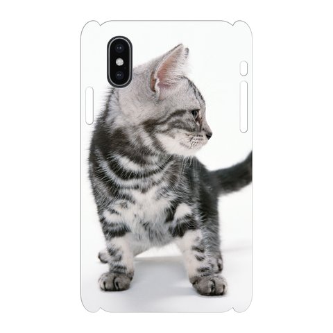 硬質iPhoneケース 猫 KA-neko013