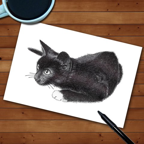 【猫イラストポストカード】ーthe black cat 5枚セット
