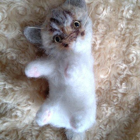 羊毛フェルト 小さな子猫