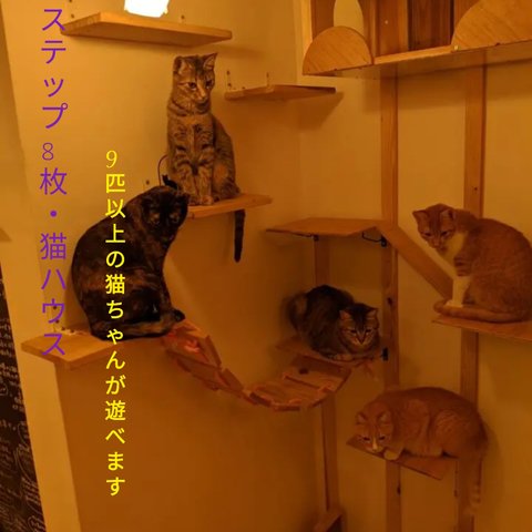 キャットタワー&猫ハウス