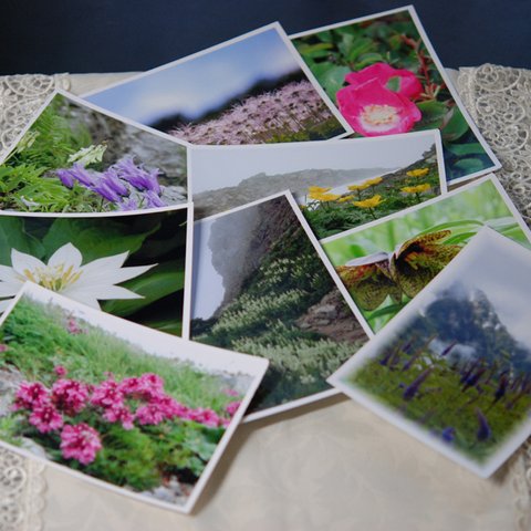 雲上の花のポストカード　第一集