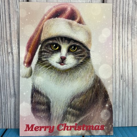 クリスマスカード　猫ちゃんのクリスマス　Ｌサイズ カード5枚セット　クリスマスカード　メッセージカード