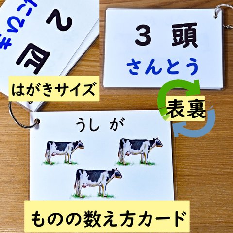 ものの数え方カード　はがきサイズ　説明書付き　数え方に　１～５の数の学習に